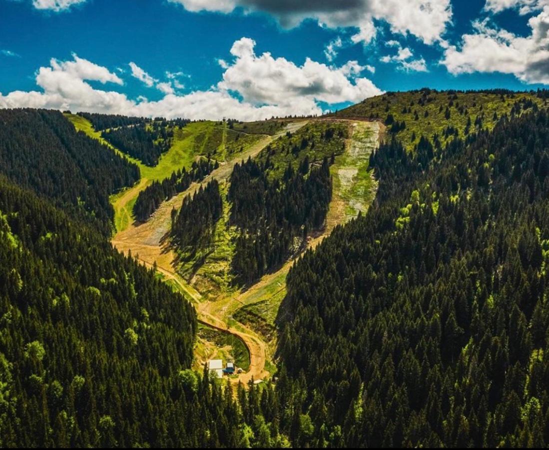 Apartments Suncani Vrhovi Kopaonik Eksteriør bilde