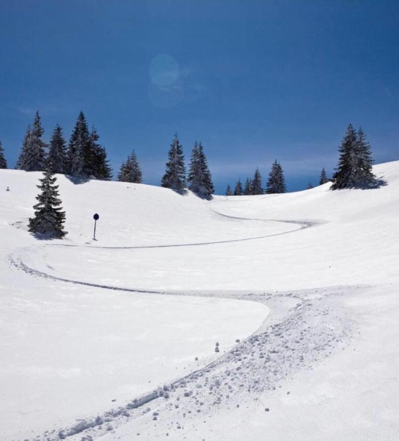 Apartments Suncani Vrhovi Kopaonik Eksteriør bilde